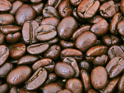 モカコーヒー豆